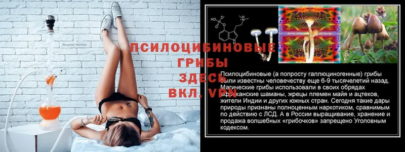 мега вход  Константиновск  Псилоцибиновые грибы Psilocybe  даркнет сайт 